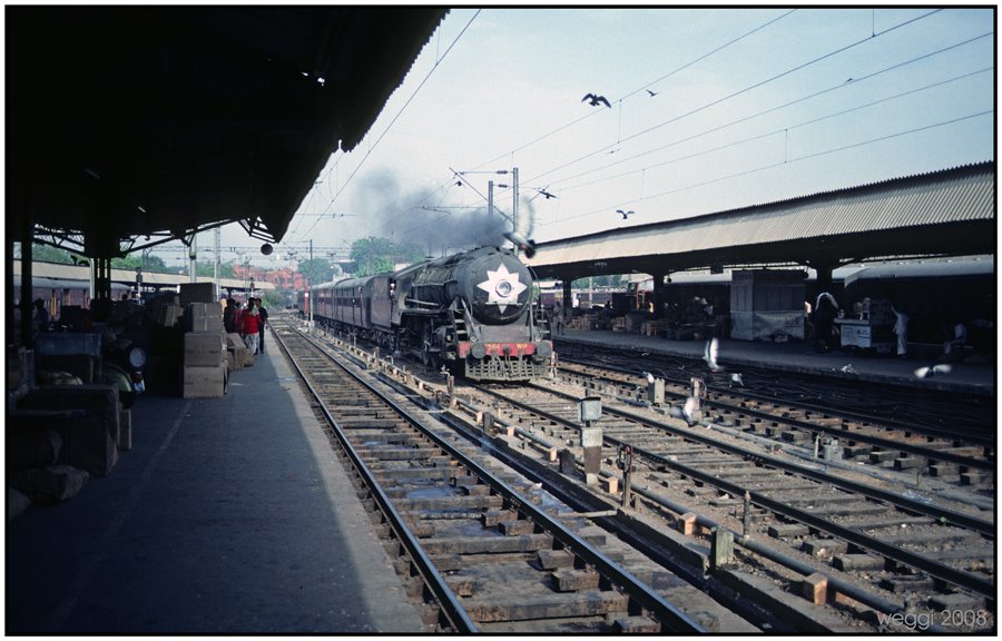 delhi, train hunting pigeons © weggi.ch, Дели