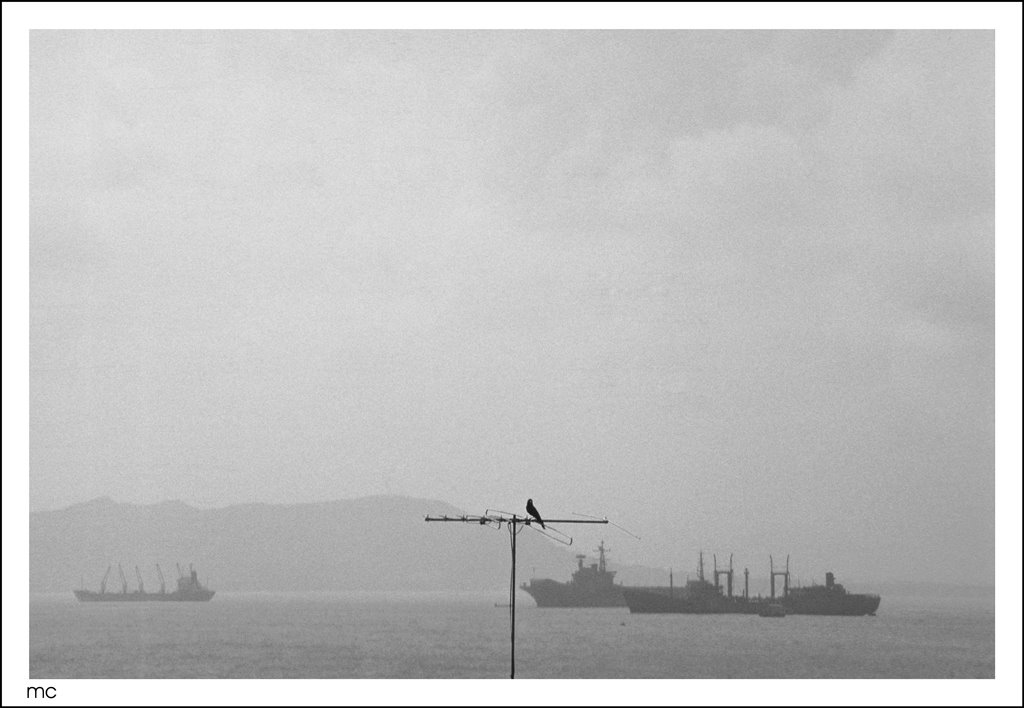 the crow and the ships ©monochromo (weggi.ch), Бомбей