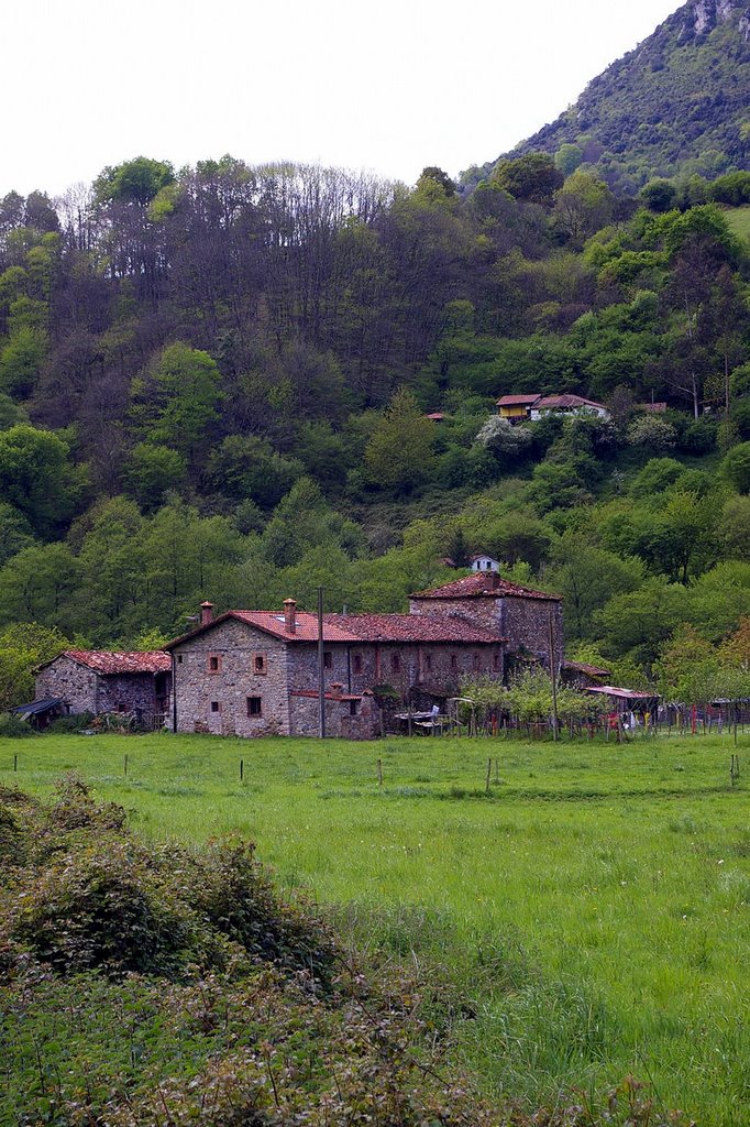 Tuñón, Santo Adriano, Asturias, Гийон