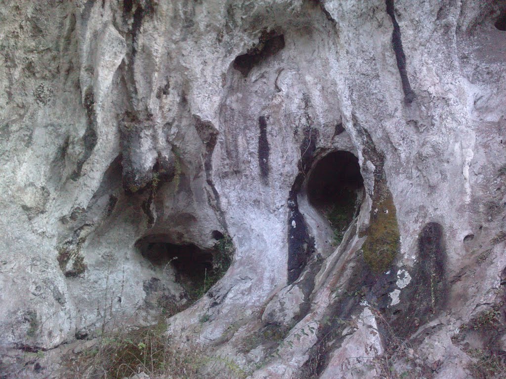 Tuñón, Santo Adriano, Asturias, Cueva de Sabadía, Гийон