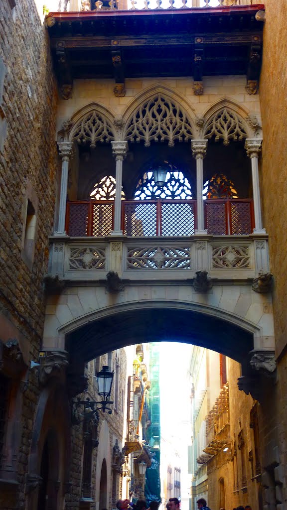 carrer    del    Bisbe .    barri    gòtic    de    Barcelona ., Барселона