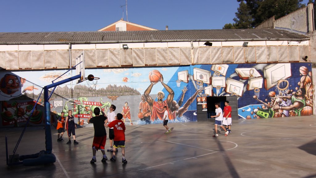 Manresa ciutat de bàsquet, Манреса
