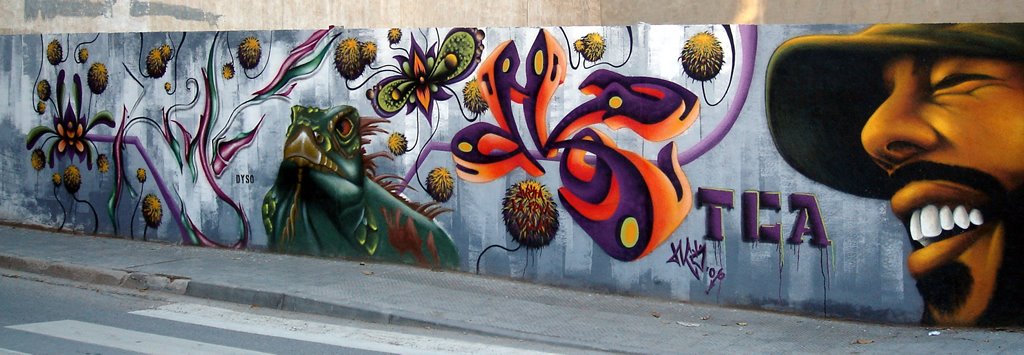 Graffiti - Ctra. Pont de Vilomara - (www.guiamanresa.com), Манреса