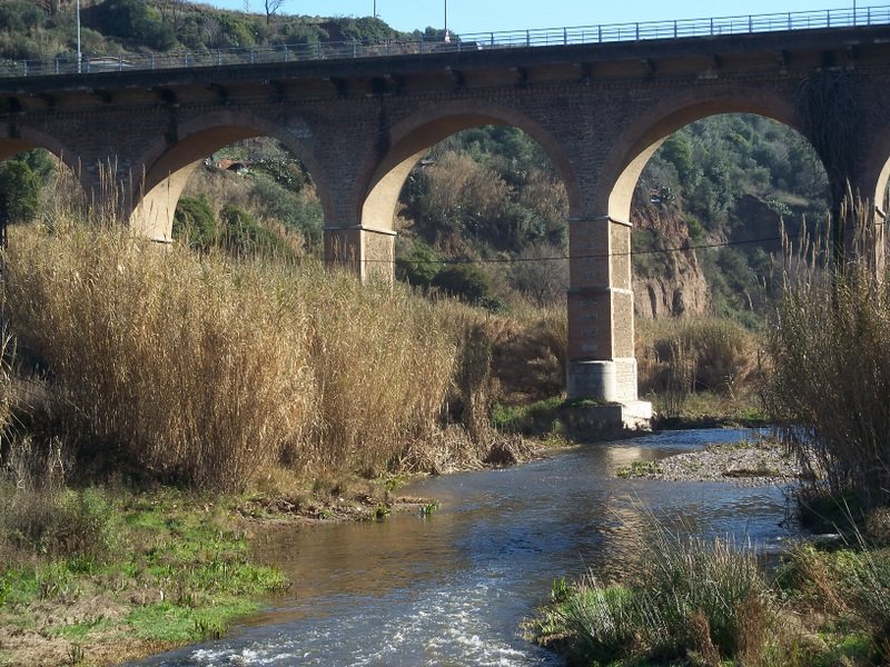 sabadell riu ripoll pont de la salut, Сабадель