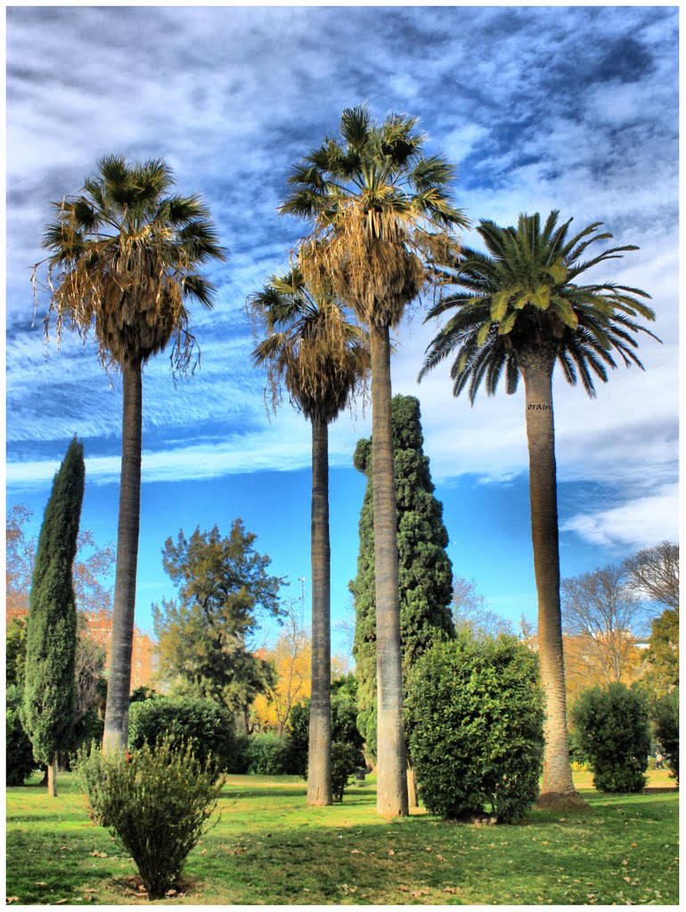 Jardin de la Ciudadela, Barcelona, To Hadi Karimi, Тарраса
