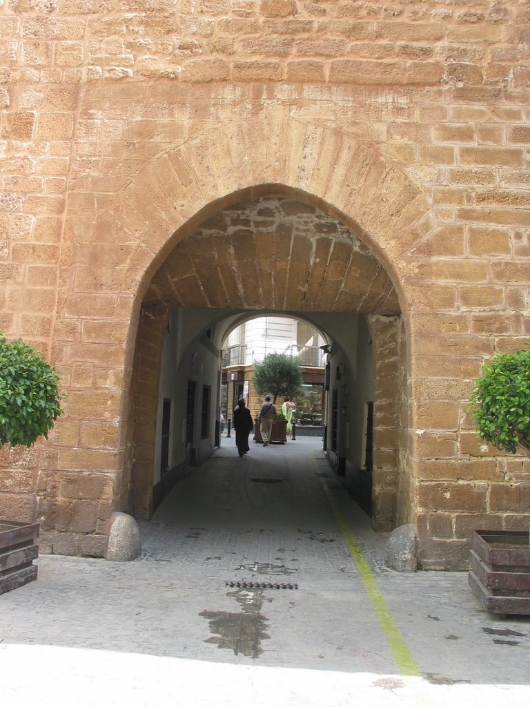 Arco del Pópulo, Алжекирас