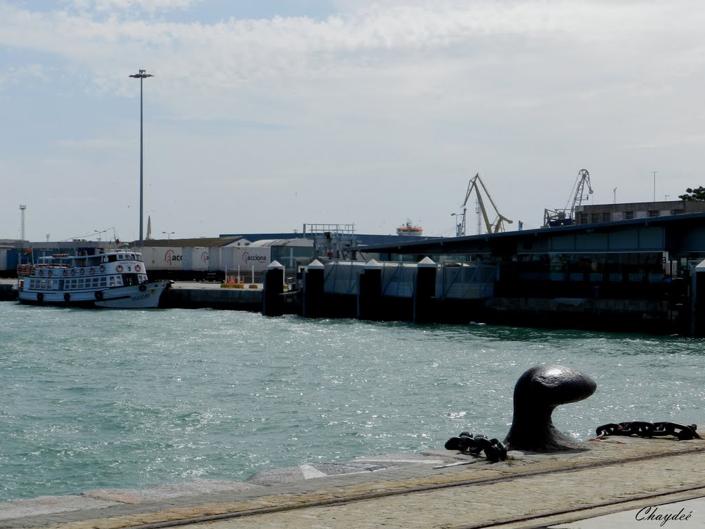Puerto de Cádiz, Алжекирас