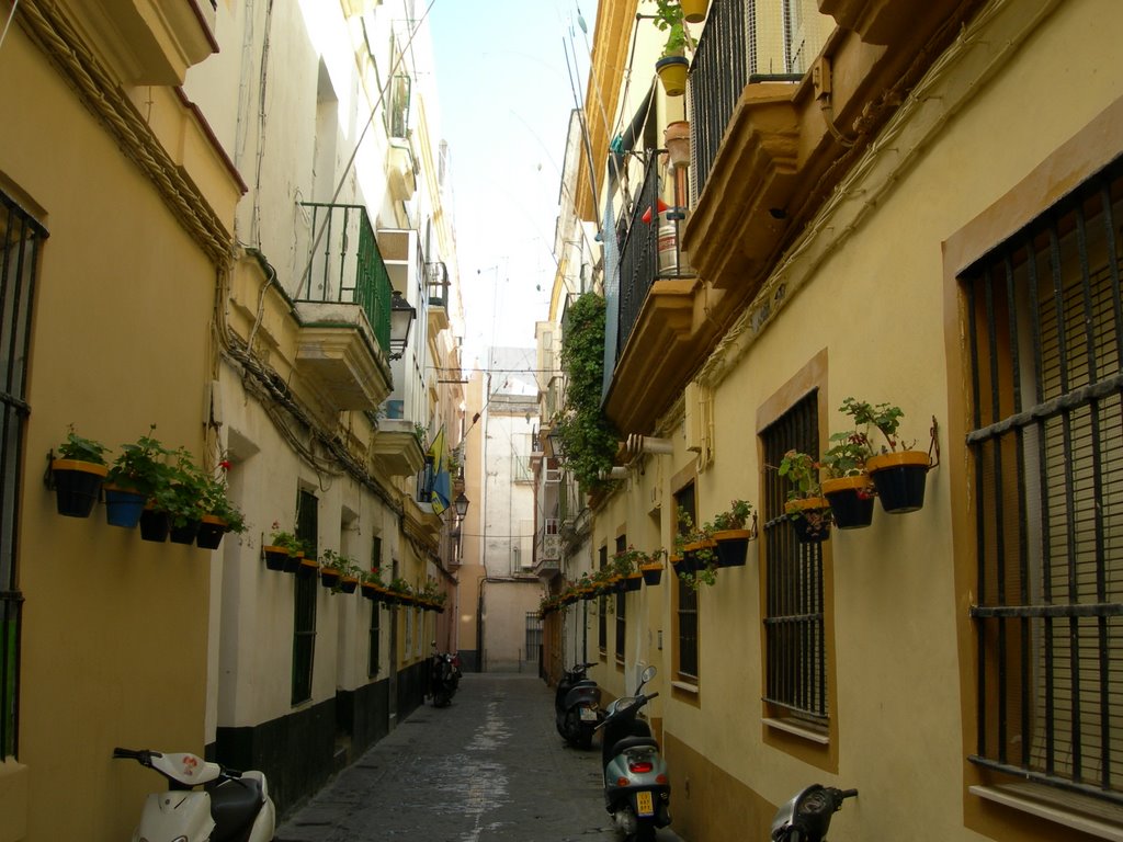 Barrio de la La Viña, Алжекирас