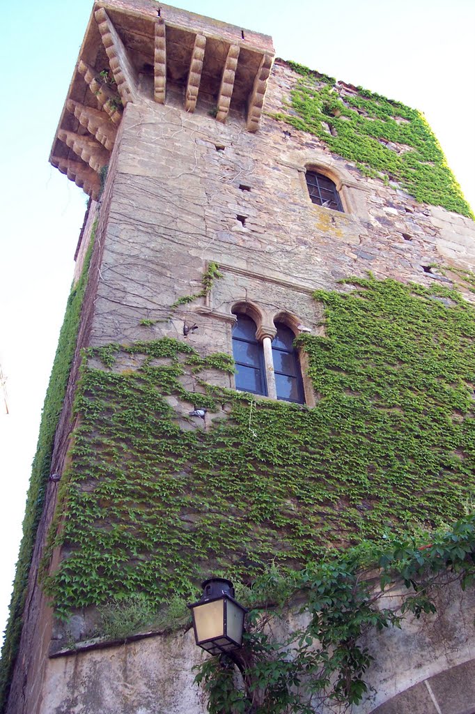 Torre de la Hiedra, Ла-Линея