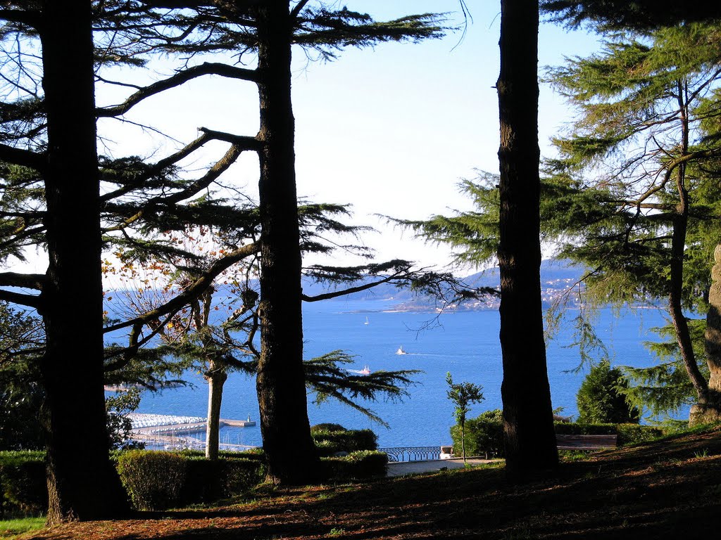 Ponta da Baleia, em Cangas, enxergada entre os cedros do Castro (Vigo, Galiza), Виго