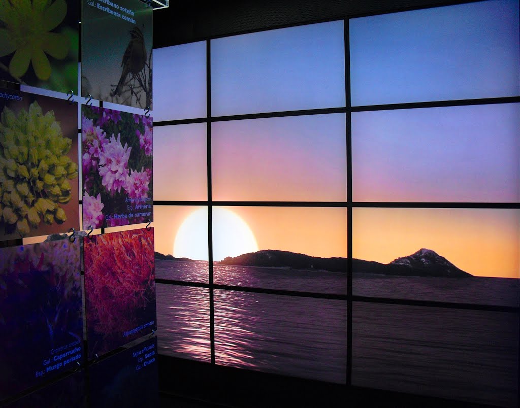 Un nuevo año, un nuevo comienzo. Museo de interpretación del parque nacional de las Islas Atlánticas. Vigo. España., Виго