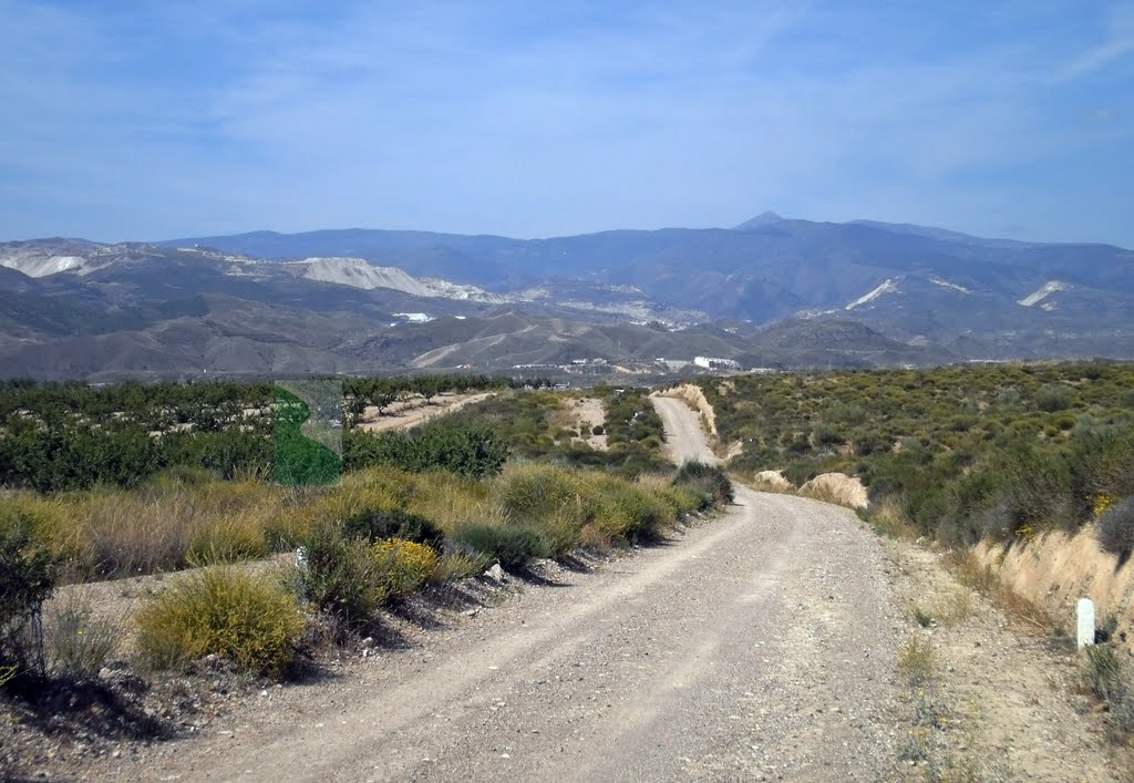 Camino del Negratín, Альмерия