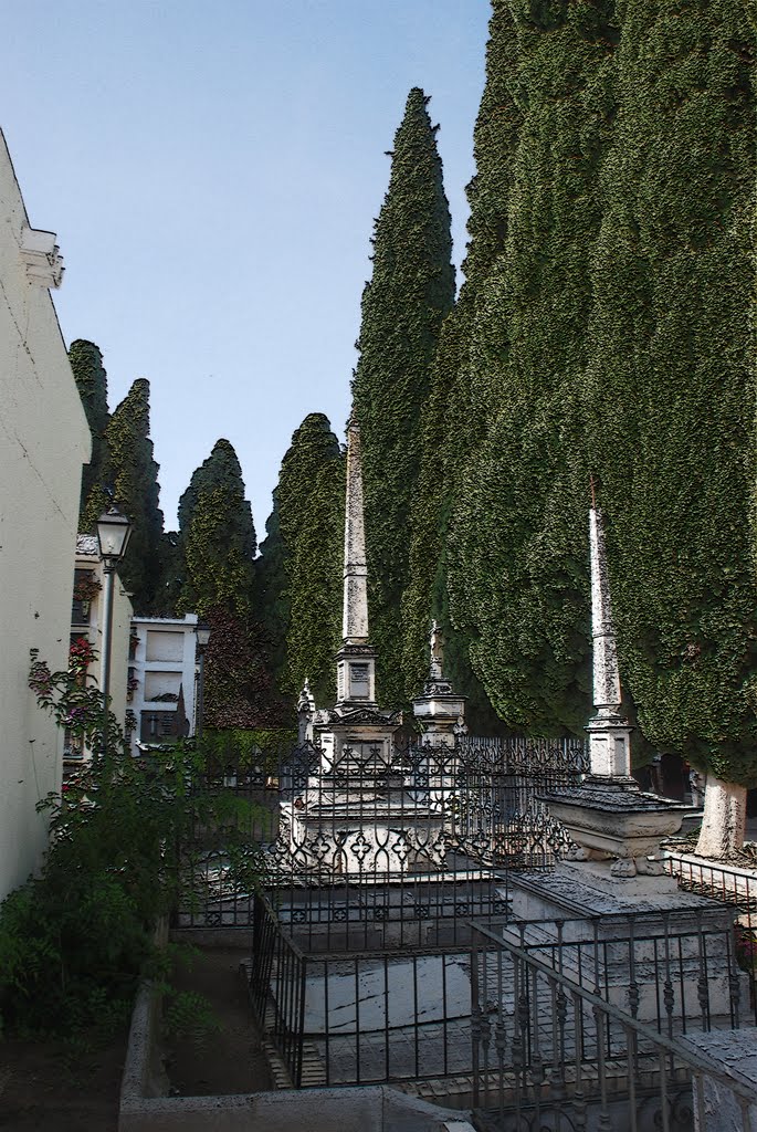 Tumbas y cipreses en el cementerio de Priego(f), Кордоба