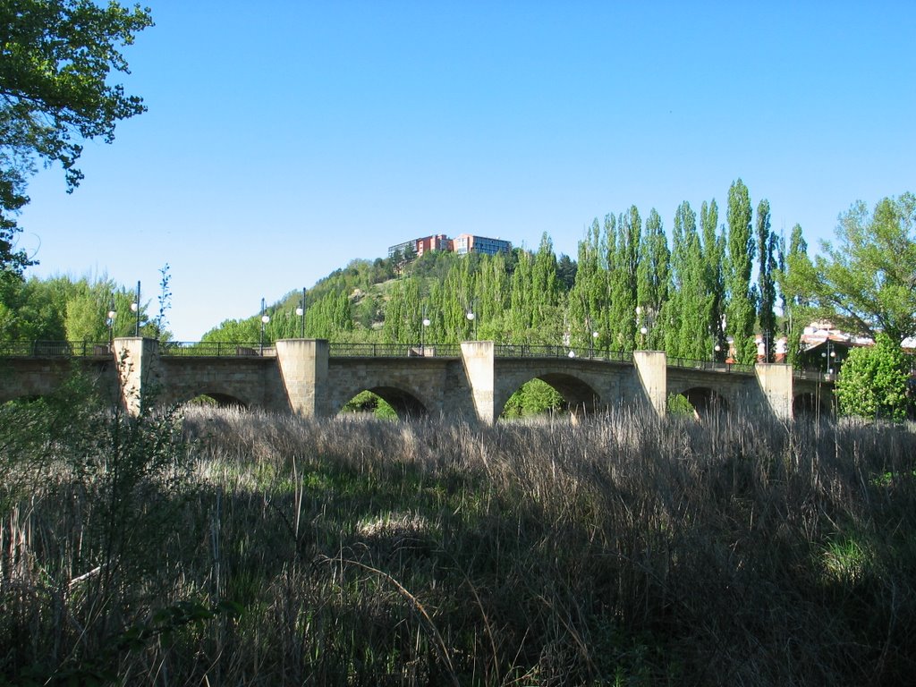 Puente sobre el Duero, Сория