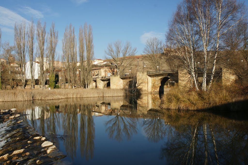 Река Дуэро в Ваш шаг Сории.   El rio Duero a su paso por Soria., Сория