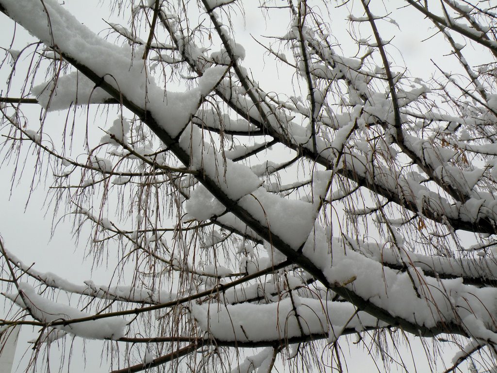 Valdemoro en invierno - Winter in Valdemoro, Толедо