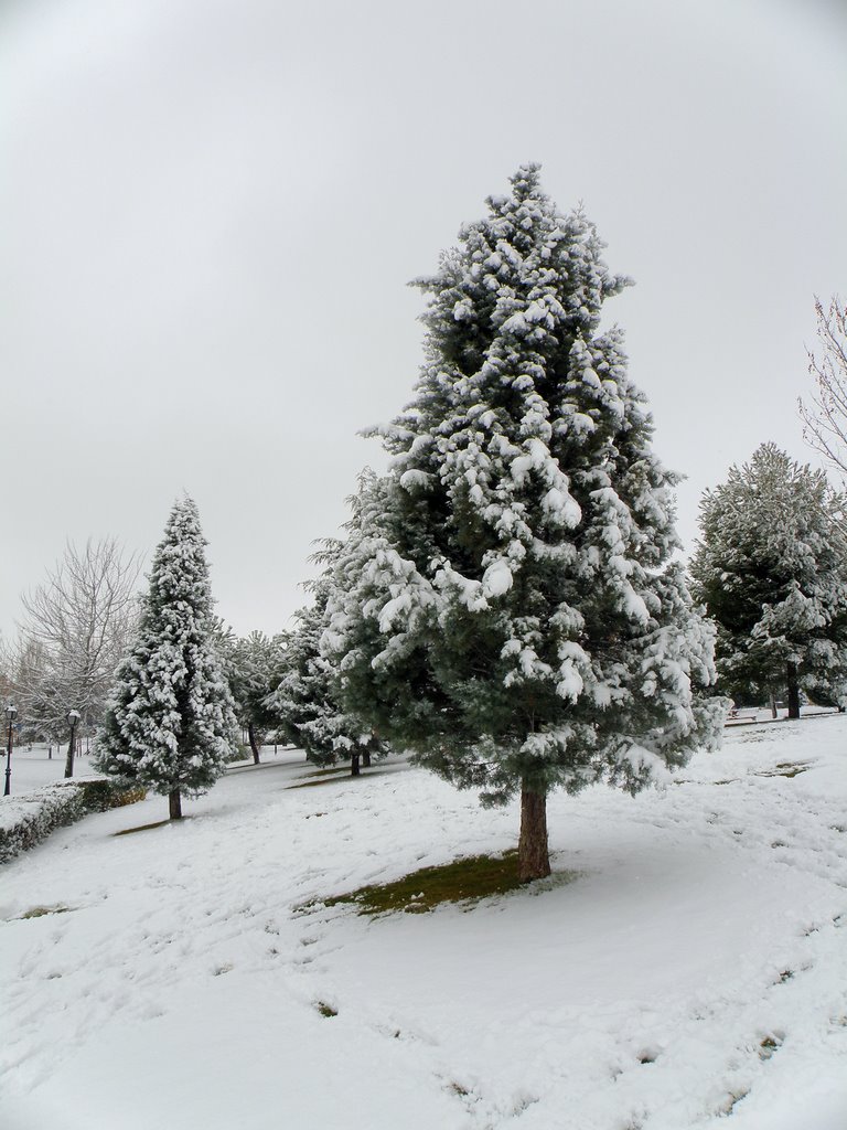 Valdemoro en invierno - Winter in Valdemoro, Толедо