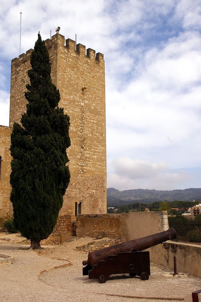 Castillo de San Juan o de la Zuda, Tortosa, Tarragona, Cataluña, España, Тортоса