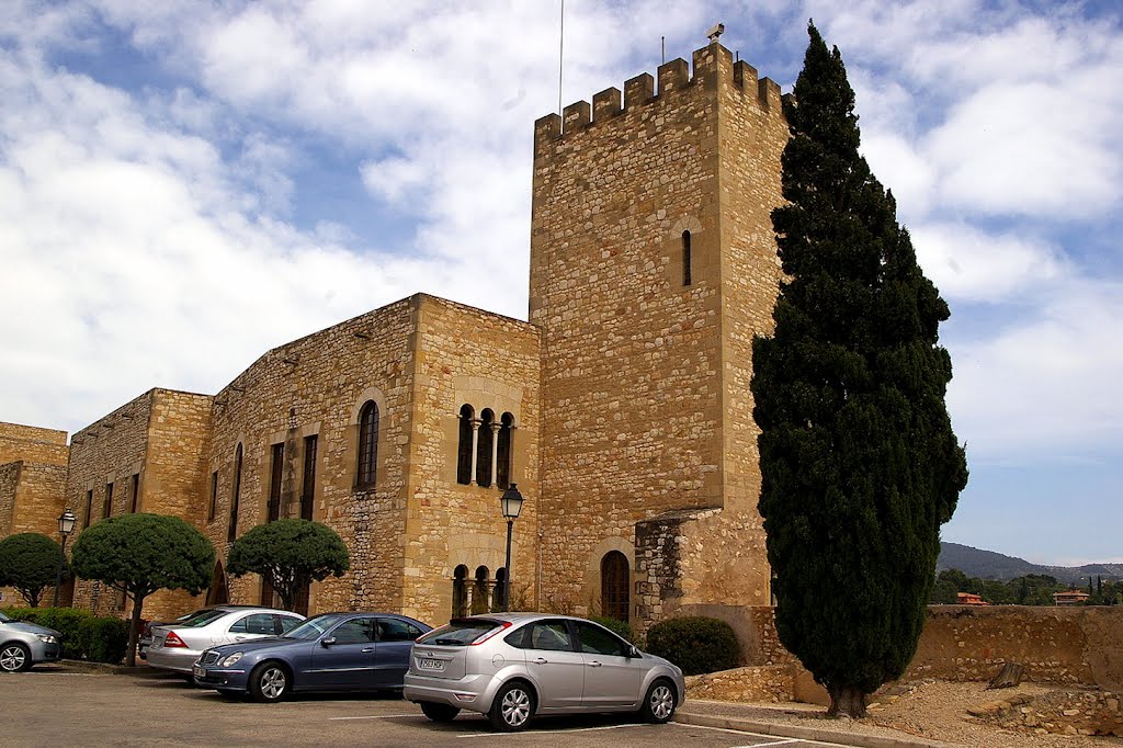 Castillo de San Juan o de la Zuda, Tortosa, Tarragona, Cataluña, España, Тортоса