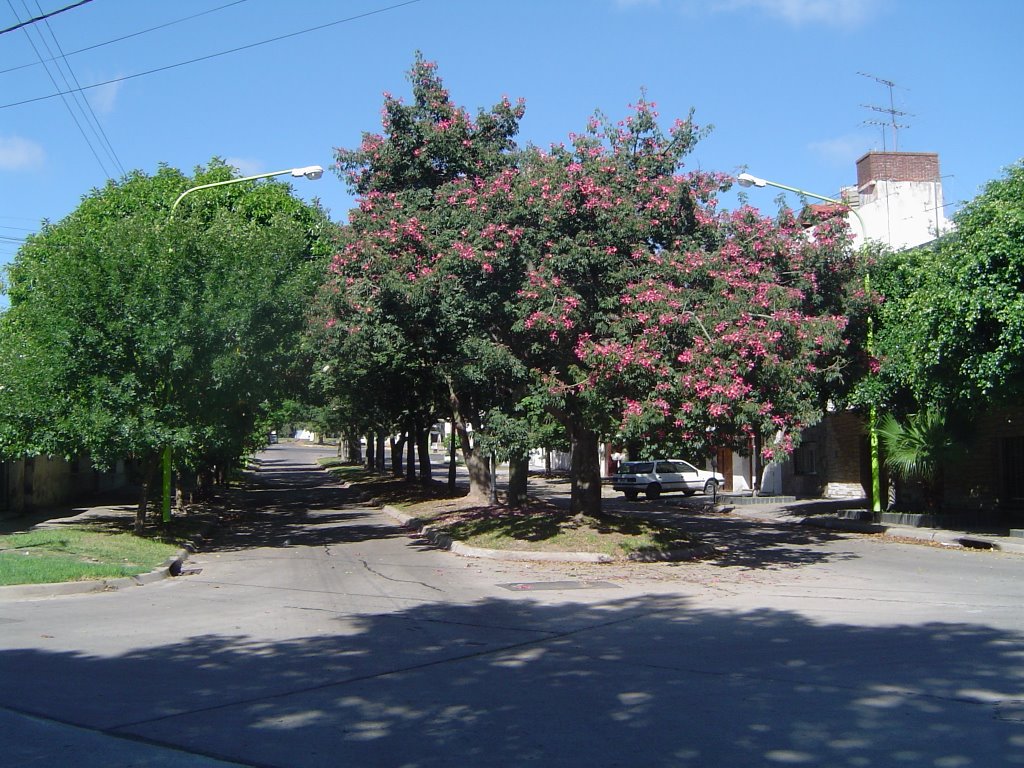 Boulevar Lavalle, Кампана