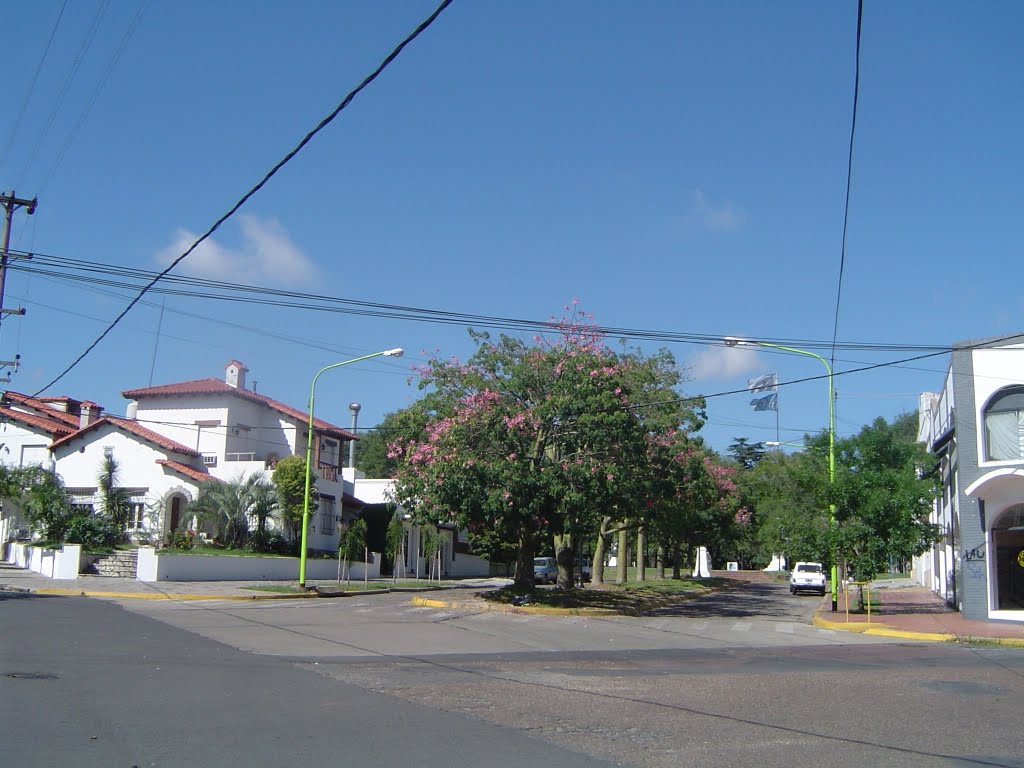 Boulevar Lavalle, Кампана