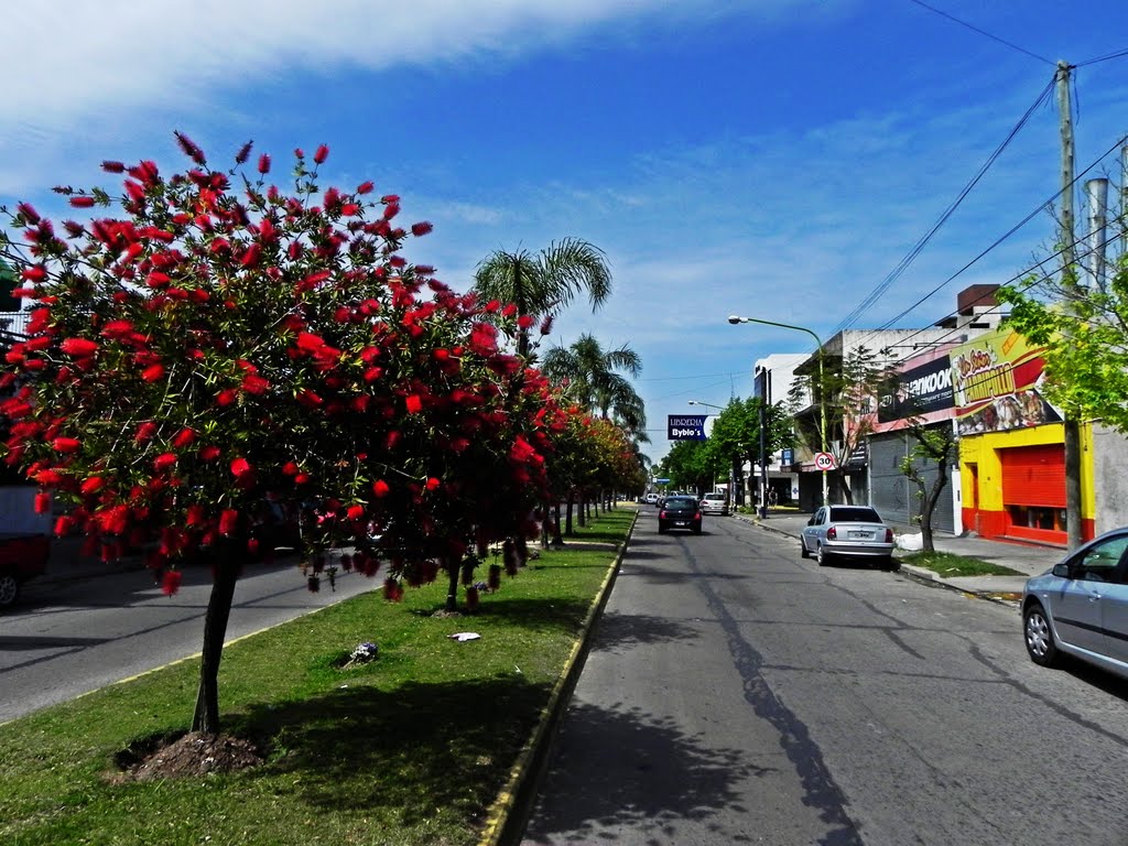 Avenida Rivadavia, Campana, Buenos Aires, Кампана