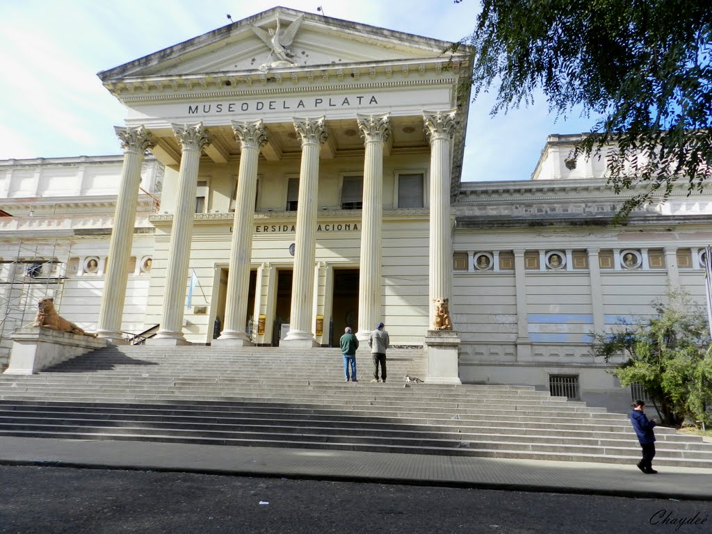 " Museo de La Plata" Uno de los más importantes del mundo. Buenos Aires., Ла-Плата