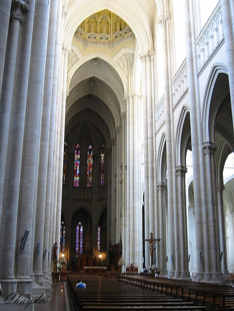 "Interior de la Catedral de La Plata", Ла-Плата