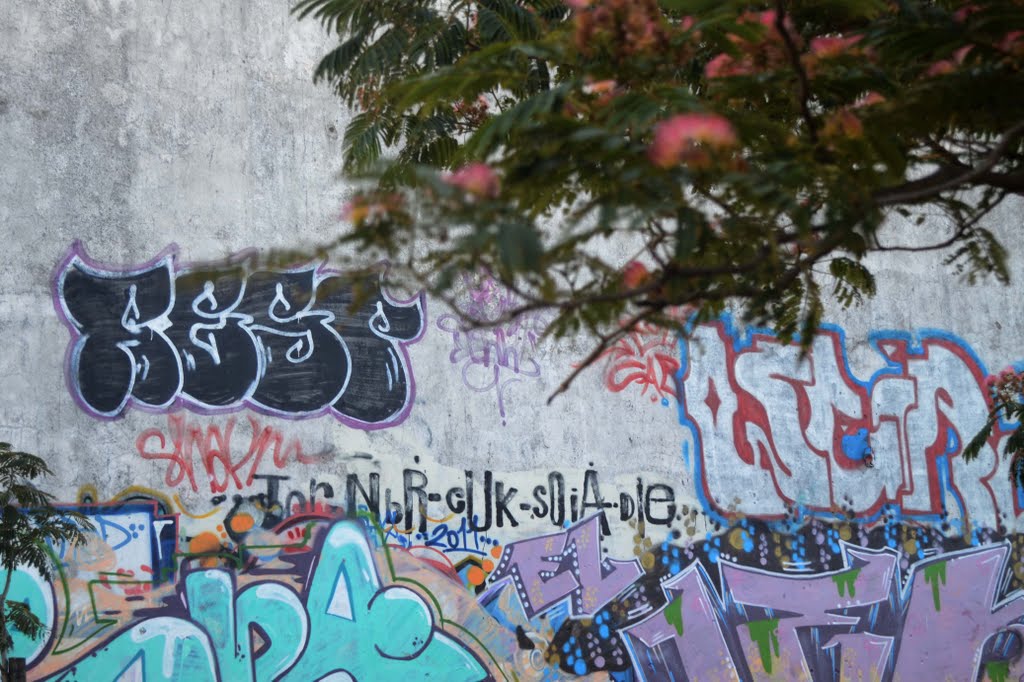 Graffitis, Мар-дель-Плата