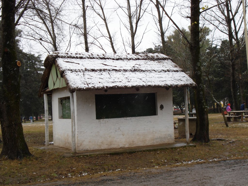 Nieve en el Parque Municipal de Pergamino, Пергамино