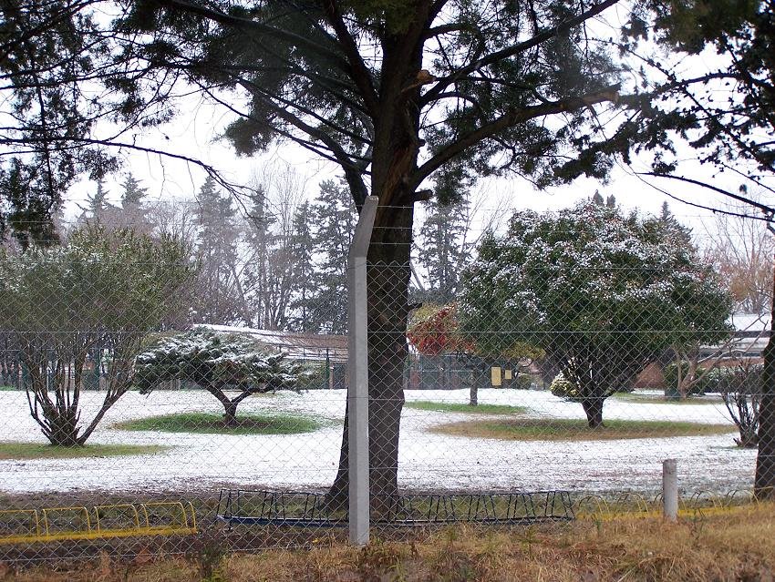 Club Gimnasia nevada, Пергамино