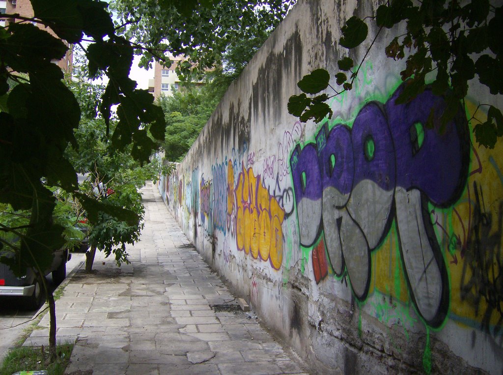 Graffitis, Obispo Trejo y Brasil (Nva Cba), Кордова