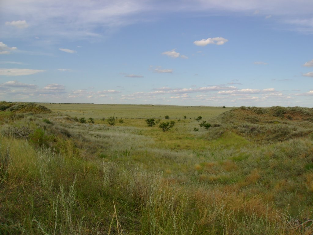 Vista desde los medanos hacia el Oeste, Женераль-Рока