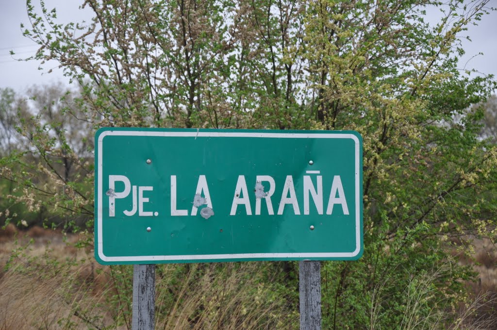 Paraje La Araña, Женераль-Рока
