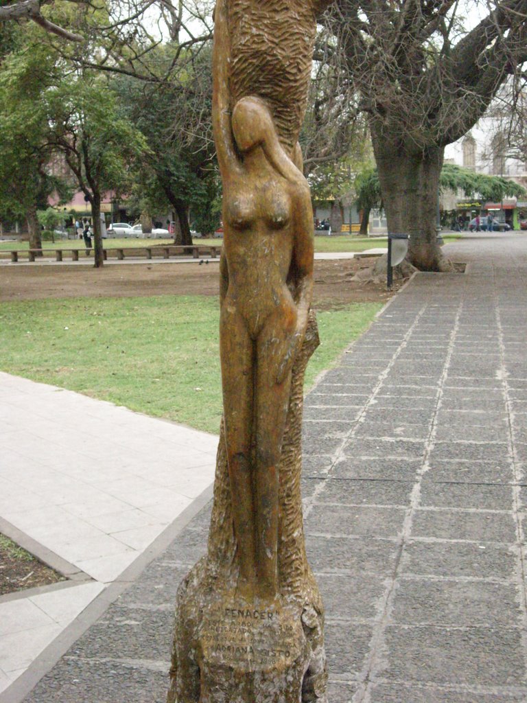 Escultura en arbol, Росарио