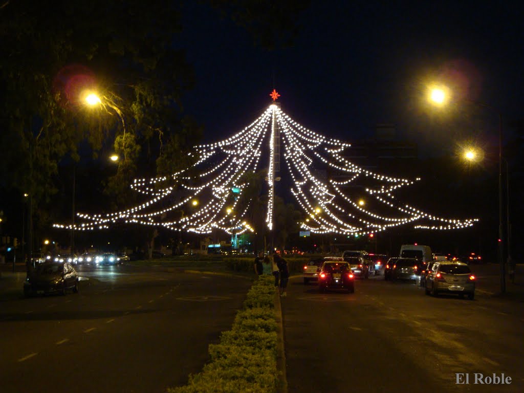 Arbol de luces que se arma para navidad en Rosario, Santa Fe, Argentina, Росарио