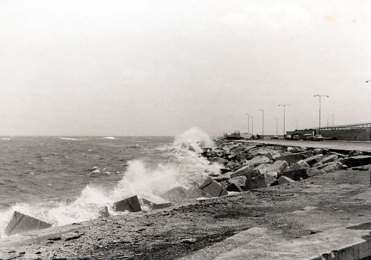 Bari 1968, Бари