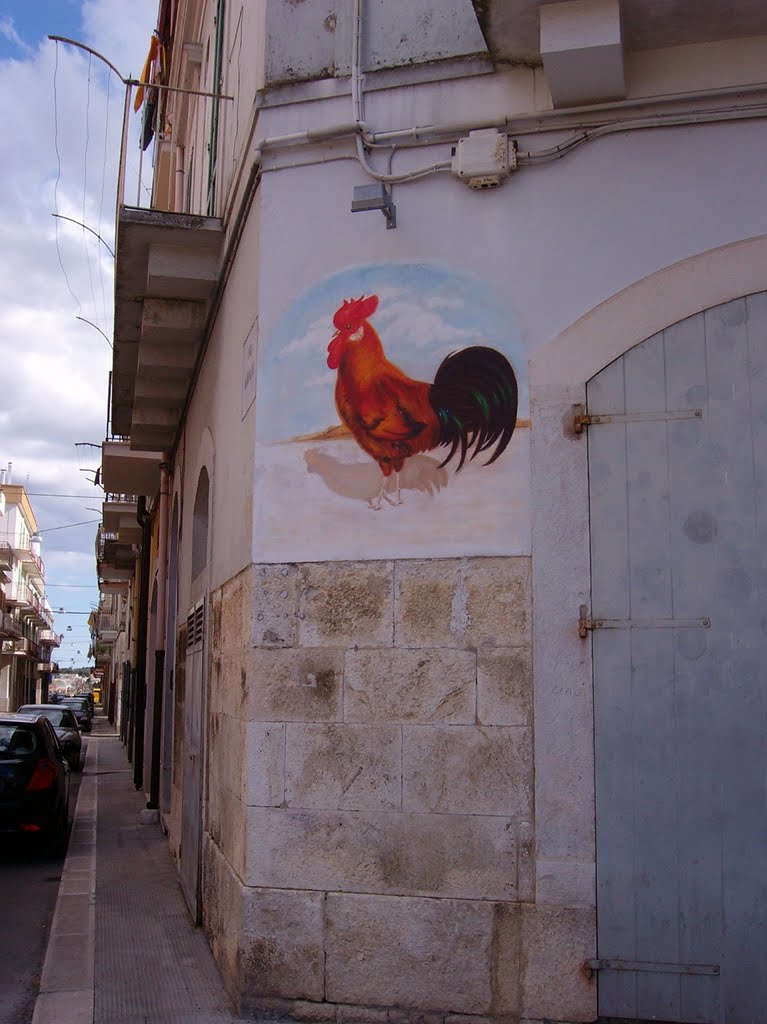 Un gallo  sul muro, Корато