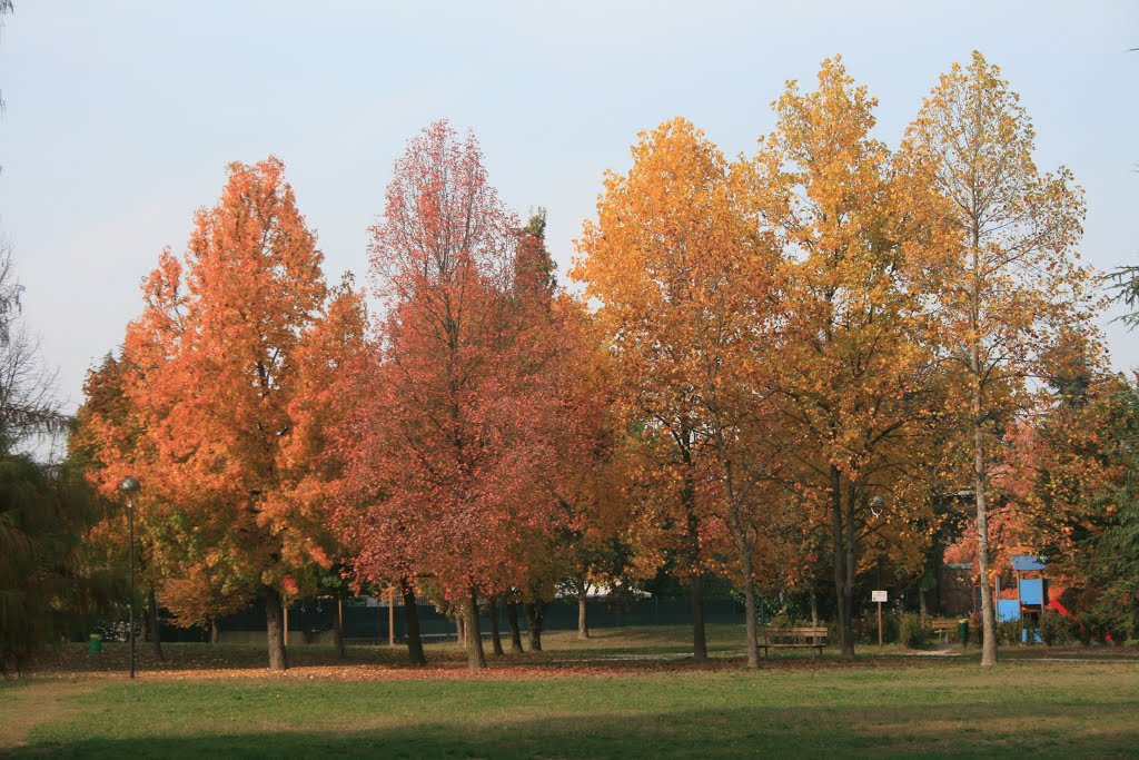 autumn colors, Падуя