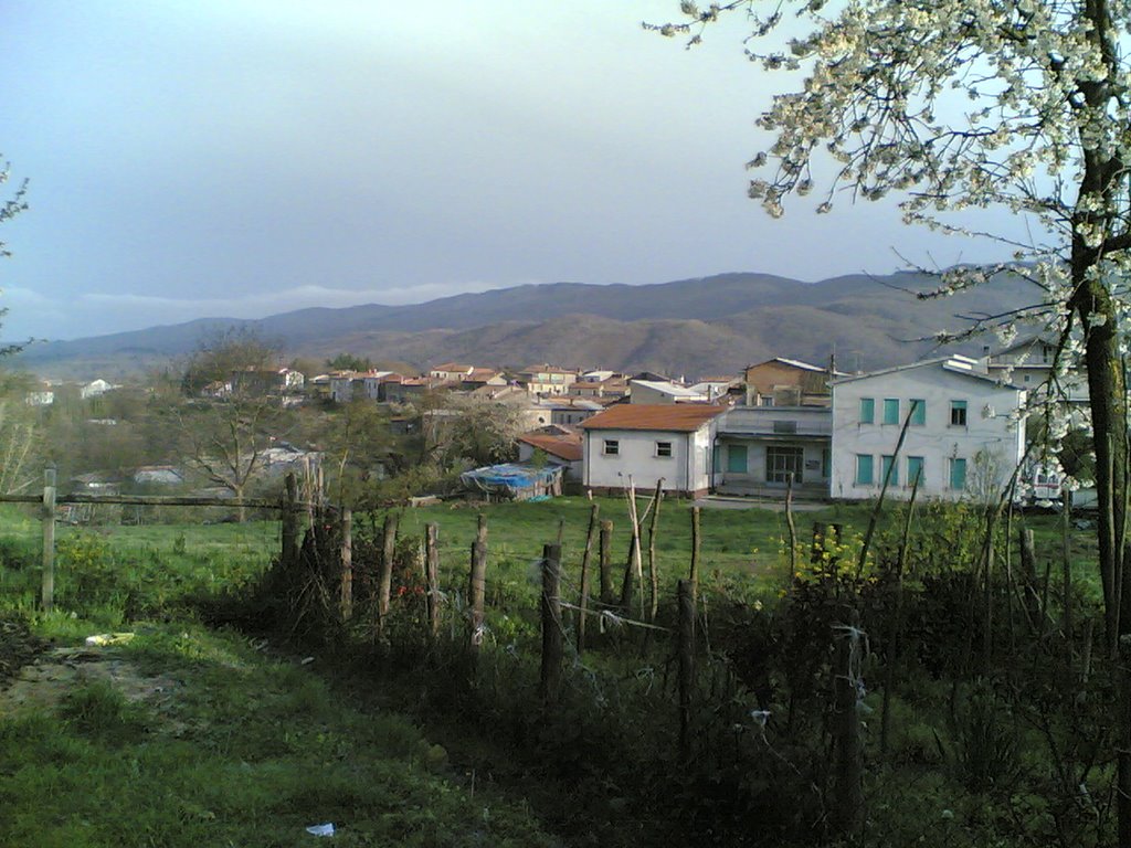 panorama da paoli, Косенца