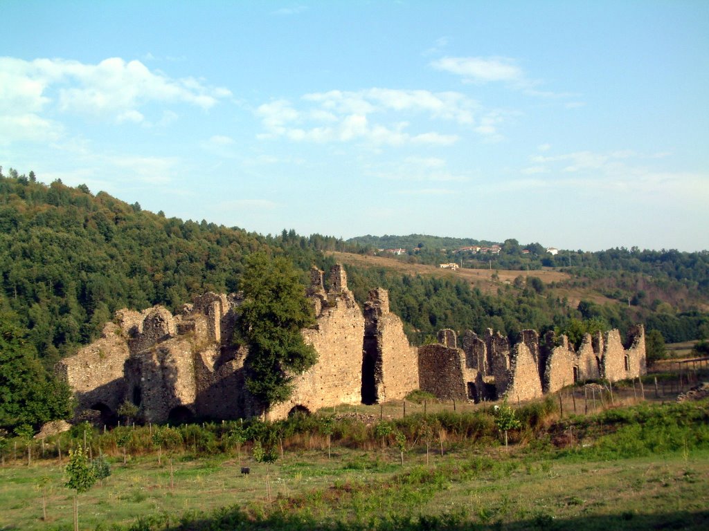 Ruderi dell abbazia di Corazzo, Косенца
