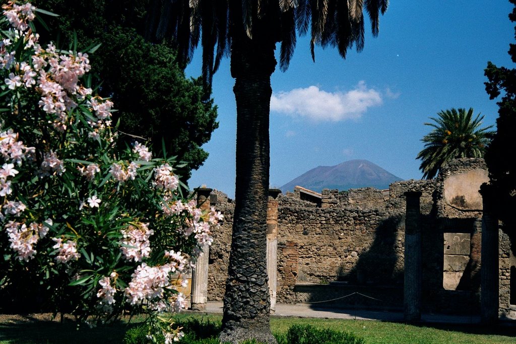 Pompeii 8, Торре-Аннунциата