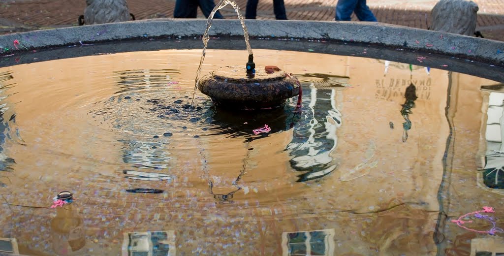 riflessi..fontana, Бергамо