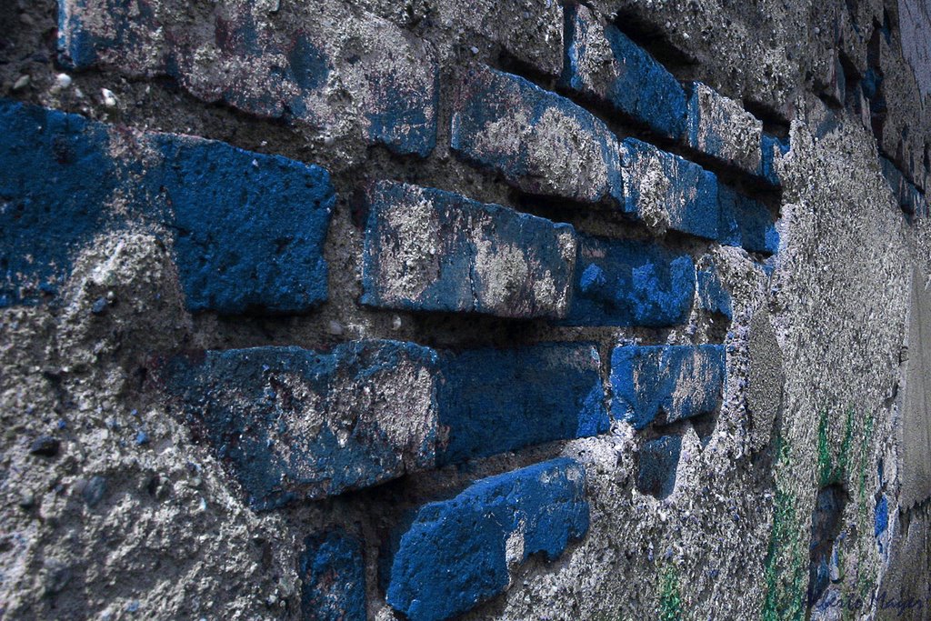 Bricks in the Wall, Бусто-Арсизио