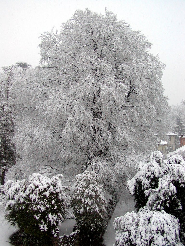 neve al parco di Villa Augusta, Варезе