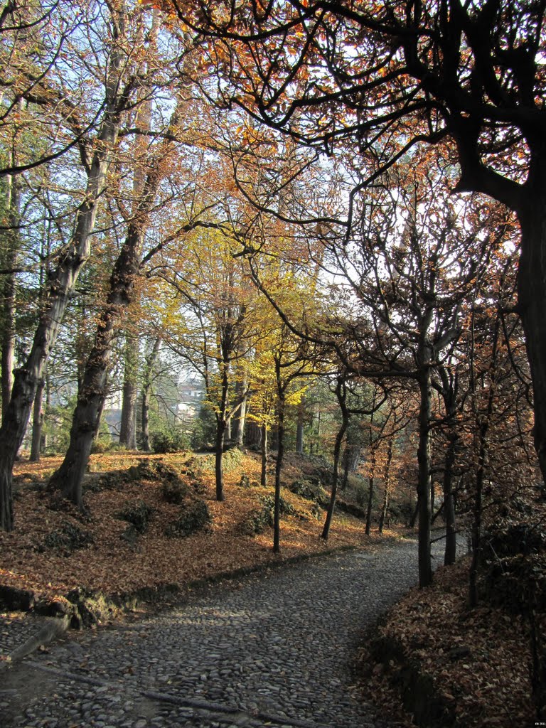 autunno ai Giardini Estensi, Варезе