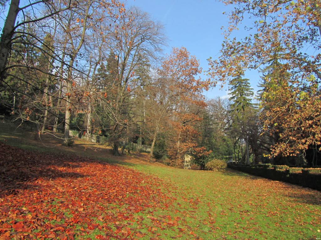 autunno a Villa Mylius, Варезе