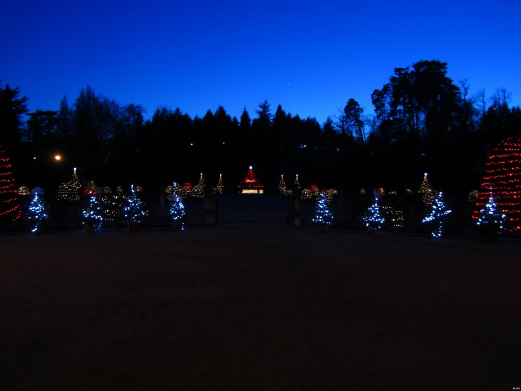 luci di Natale ai Giardini Estensi, Варезе