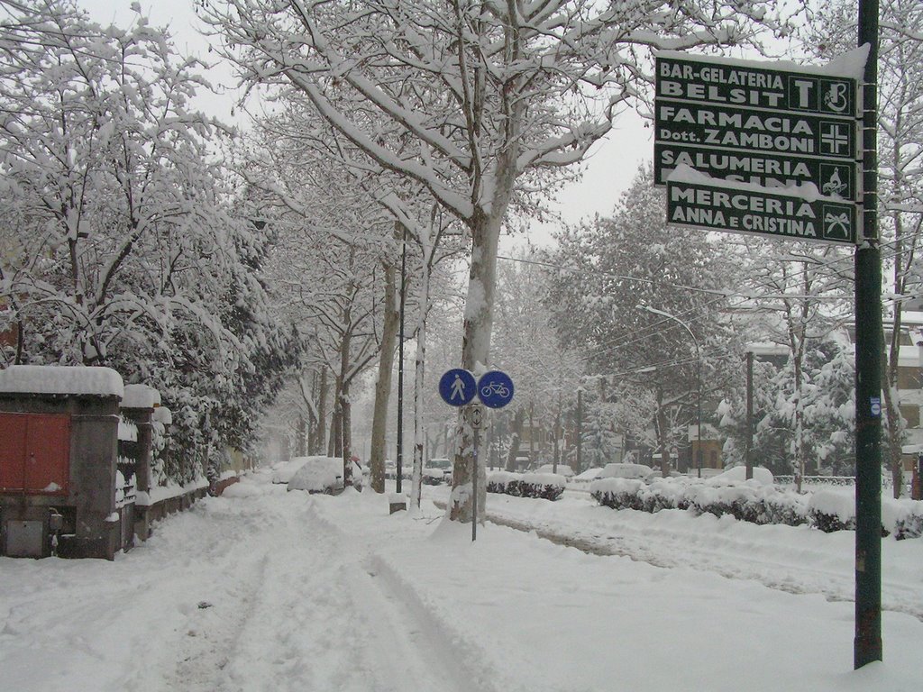 CREMONA  Viale Po  nevicata gennaio 2006, Кремона