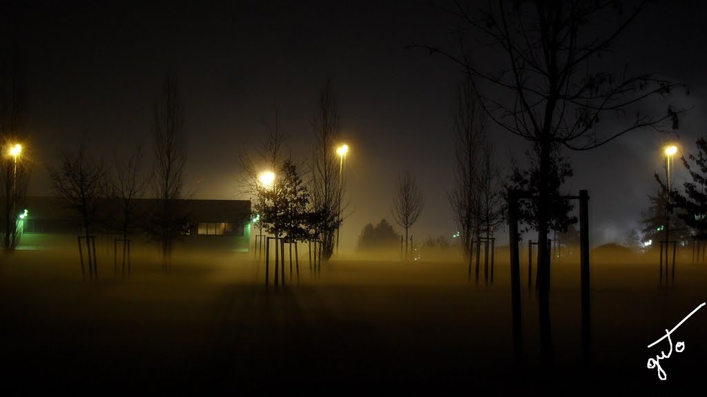 Notturna con la Nebbia, Мантуя